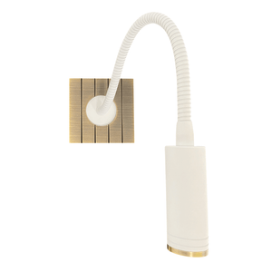 Studio flexo lamp